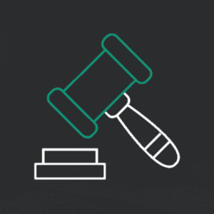 Introducción a las Garantías Procesales: Estructura y fundamentos constitucionales​